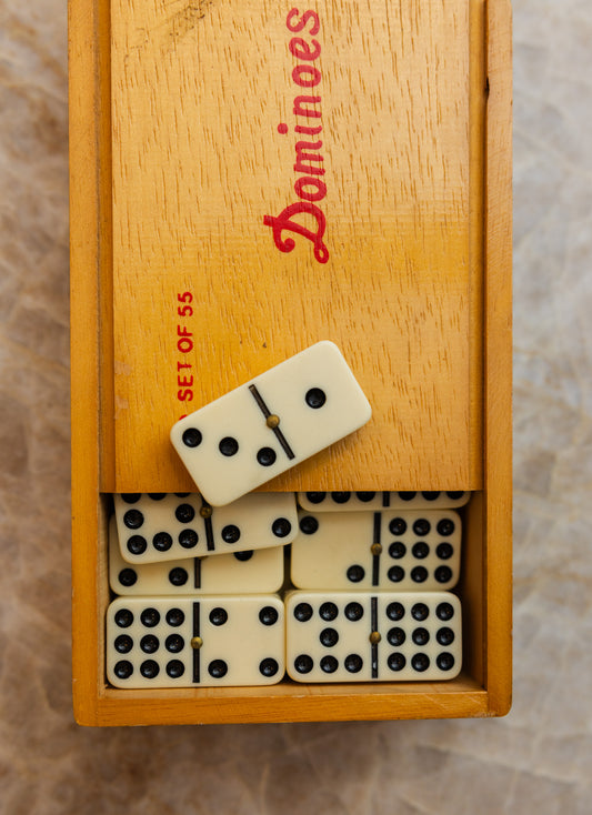 Vintage Dominoes Set - Our Brooklyn Brownstone